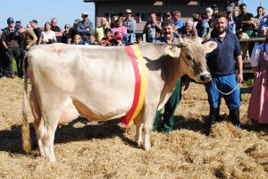 schneuter ltere_Wiliam Merit_GG Ruhstaller Wollerau 1